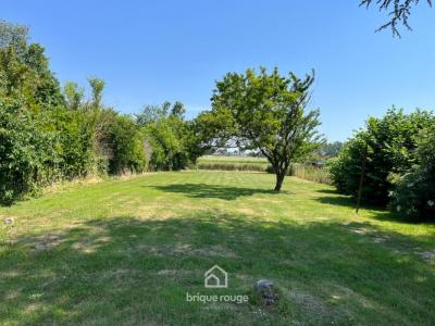 Annonce Vente Terrain Leforest 62
