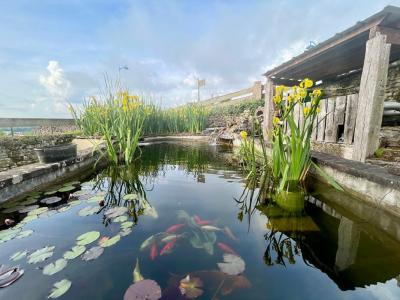 For sale Contrexeville 8 rooms 212 m2 Vosges (88140) photo 2