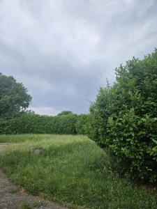 Acheter Maison Loriol-sur-drome 215000 euros