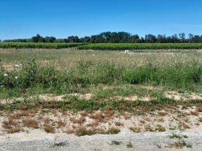 For sale Creon 550 m2 Gironde (33670) photo 0