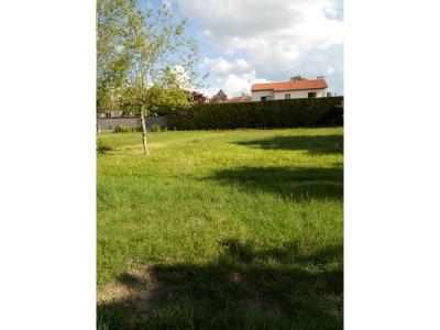 Annonce Vente Terrain Montrond-les-bains 42