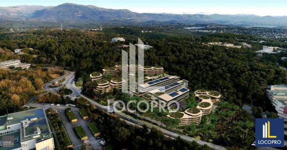 For rent Sophia-antipolis 7165 m2 Alpes Maritimes (06560) photo 1