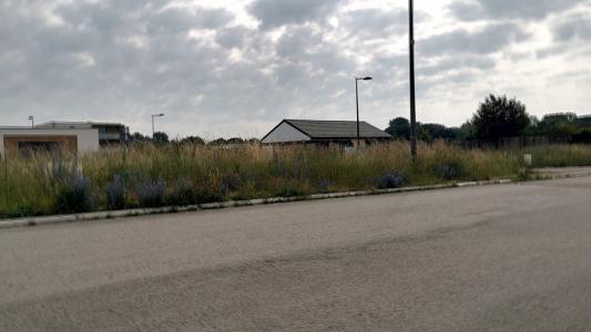 Annonce Vente Terrain Pont-sainte-marie 10
