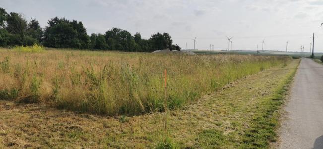 For sale Sainte-maure 1241 m2 Aube (10150) photo 1