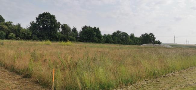 For sale Sainte-maure 1241 m2 Aube (10150) photo 2
