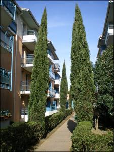 For rent Toulouse 2 rooms 30 m2 Haute garonne (31300) photo 2