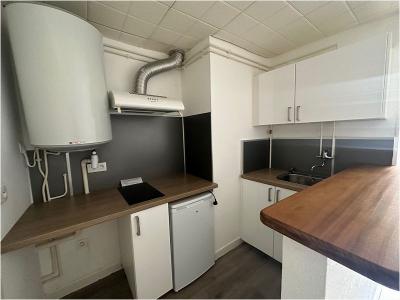 For rent Toulouse 2 rooms 34 m2 Haute garonne (31000) photo 3