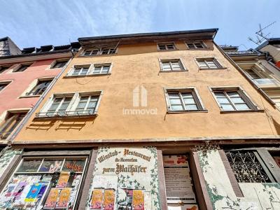 Annonce Vente Immeuble Strasbourg 67