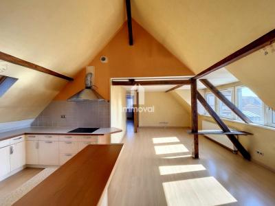 Annonce Vente 3 pices Appartement Schiltigheim 67