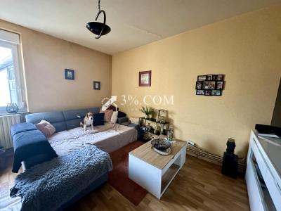 Annonce Vente 9 pices Maison Luneville 54