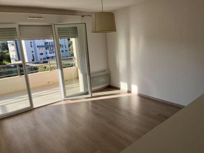 Acheter Appartement  Corse