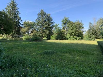 Annonce Vente Terrain Pierre-de-bresse 71