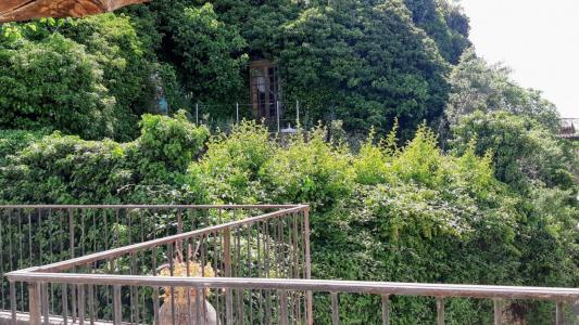 For sale Tourtour 7 rooms 71 m2 Var (83690) photo 1