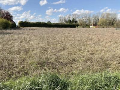 Annonce Vente Terrain Villemereuil 10