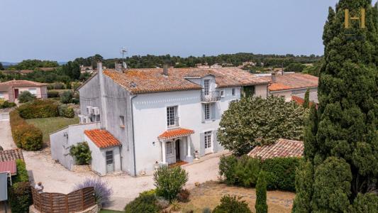Annonce Vente Prestige Ventenac-cabardes 11