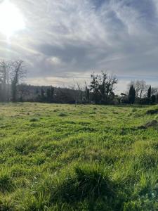 Annonce Vente Terrain Soulignac 33