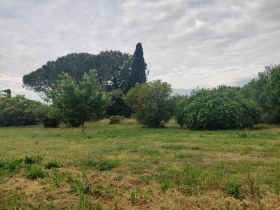 Annonce Vente Terrain Mondragon 84