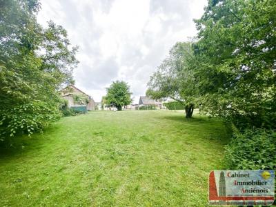 Annonce Vente 6 pices Maison Saint-sauflieu 80