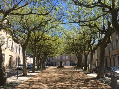 For sale Burlats DOURGNE 105 m2 Tarn (81100) photo 2