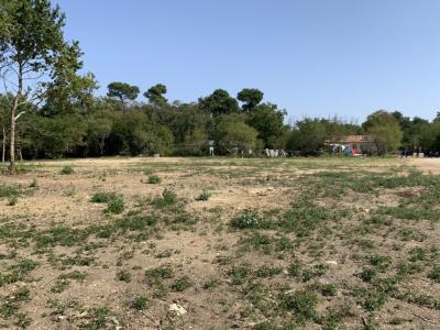 Annonce Vente Terrain Quinsac 33