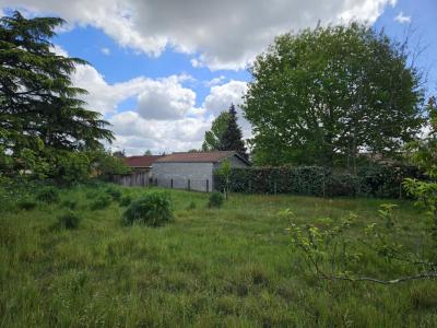Annonce Vente Terrain Podensac 33