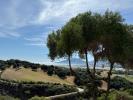 For sale Apartment Bastelicaccia BASTELICACCIA 85 m2 3 pieces