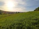 For sale Land Albi 4932 m2