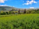 For sale Land Albi 2915 m2