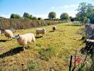 For sale House Fayl-billot  91 m2 3 pieces