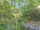 Vente Terrain Bras 960 m2