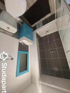 Annonce Location Appartement Saint-etienne 42