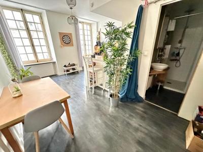 For rent Nantes 2 rooms 44 m2 Loire atlantique (44000) photo 3