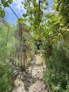 Annonce Vente 6 pices Maison Avignon 84