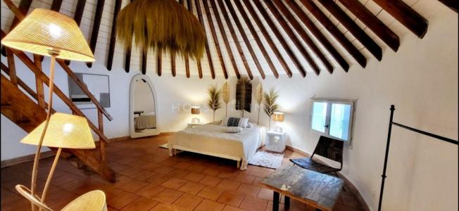 For sale Vauvert 20 rooms 580 m2 Gard (30600) photo 0