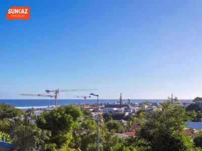 For sale Terre-sainte 9 rooms 280 m2 Reunion (97410) photo 0