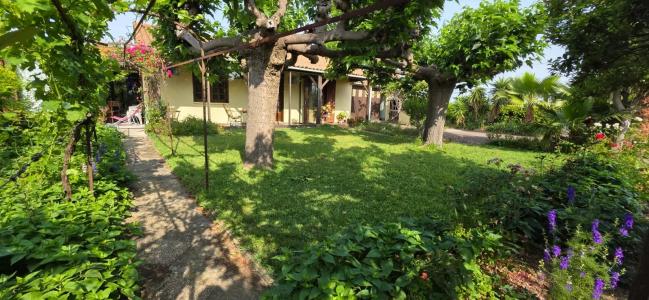 Annonce Vente 3 pices Maison Argens-minervois 11