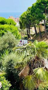 For sale 2 rooms 29 m2 Alpes Maritimes (06200) photo 1