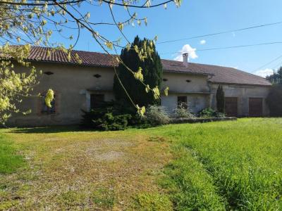 Acheter Maison 356 m2 Montauban