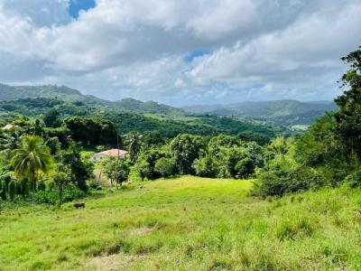 For sale Vauclin 1200 m2 Martinique (97280) photo 1