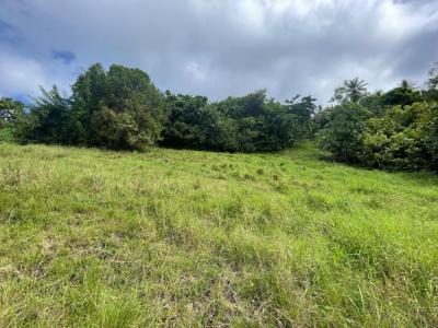 For sale Vauclin 1200 m2 Martinique (97280) photo 1