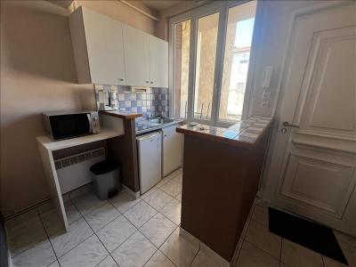 For rent Lyon-7eme-arrondissement 2 rooms 29 m2 Rhone (69007) photo 2