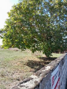 For sale Chabournay SAINT-MARTIN-LA-PALLU 685 m2 Vienne (86380) photo 3