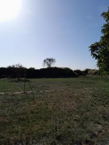 For sale Chabournay SAINT-MARTIN-LA-PALLU 685 m2 Vienne (86380) photo 4