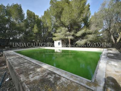 For sale Sigean 17 rooms 439 m2 Aude (11130) photo 2