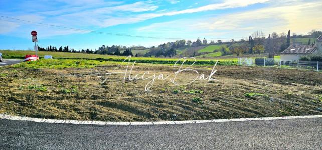 For sale Saint-papoul 538 m2 Aude (11400) photo 4