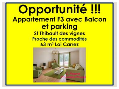 Annonce Vente 3 pices Appartement Saint-thibault-des-vignes 77