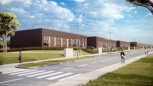 Annonce Location Commerce Signes 83