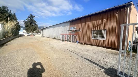 Louer Commerce 500 m2 Farlede