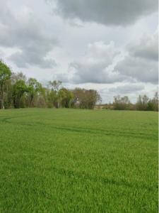 For sale Bouhet 452 m2 Charente maritime (17540) photo 0