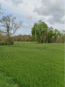 For sale Bouhet 452 m2 Charente maritime (17540) photo 1